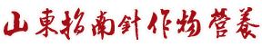 新能動(dòng)力